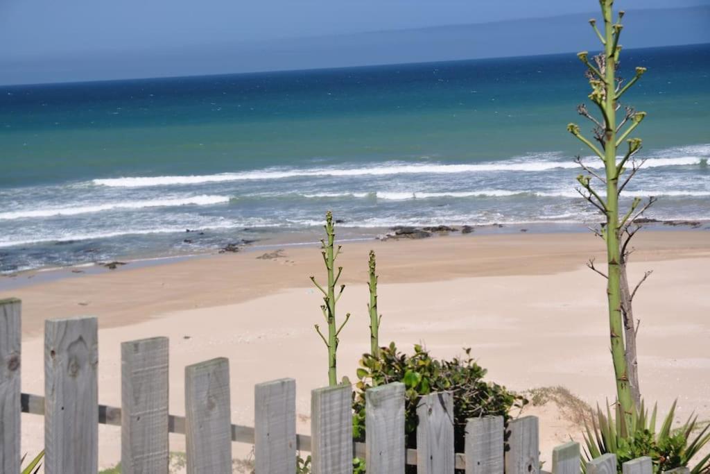 Beachfront Villa African Queen 11Beds Jeffreysbaai Buitenkant foto
