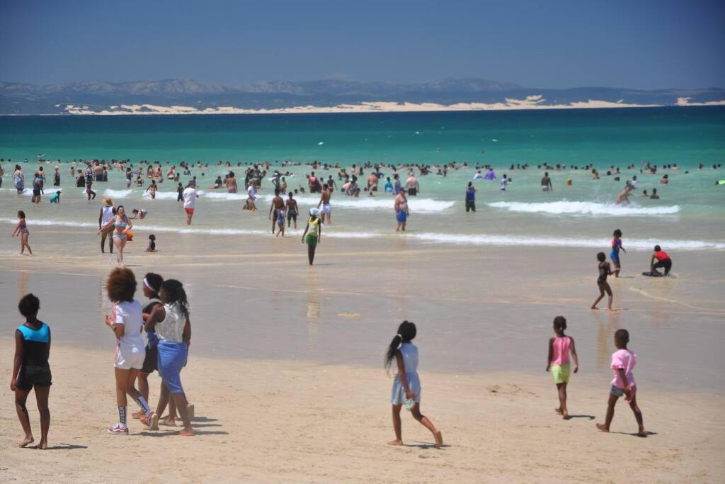 Beachfront Villa African Queen 11Beds Jeffreysbaai Buitenkant foto