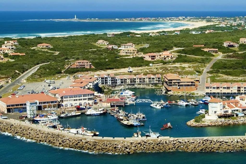 Beachfront Villa African Queen 11Beds Jeffreysbaai Buitenkant foto