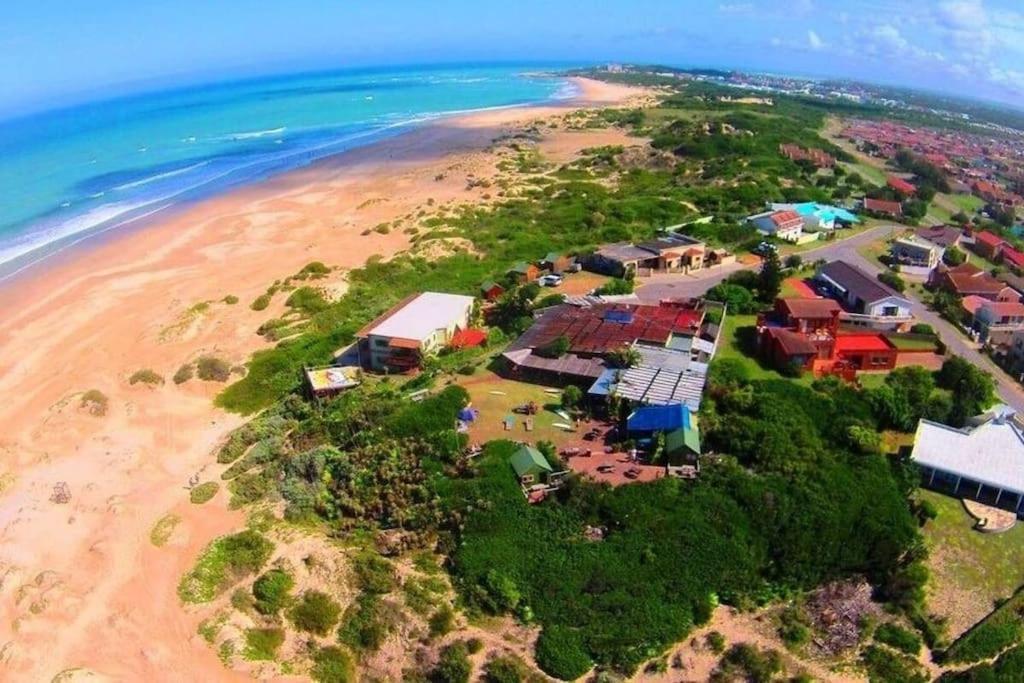 Beachfront Villa African Queen 11Beds Jeffreysbaai Buitenkant foto