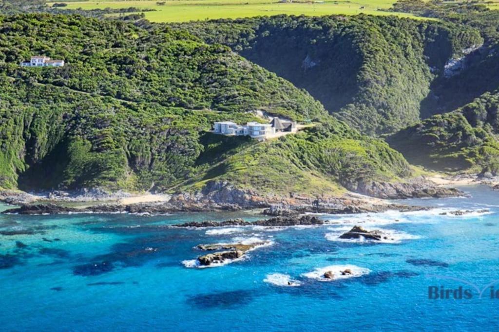 Beachfront Villa African Queen 11Beds Jeffreysbaai Buitenkant foto