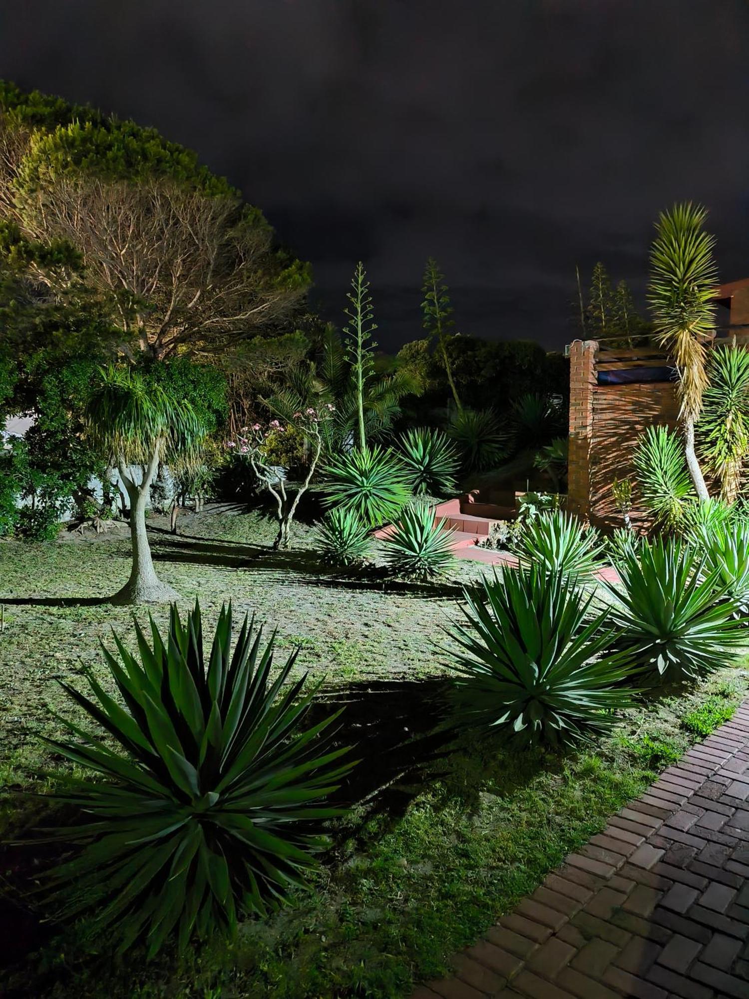 Beachfront Villa African Queen 11Beds Jeffreysbaai Buitenkant foto